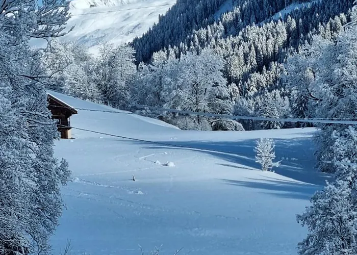 Le Mont Lejlighed *